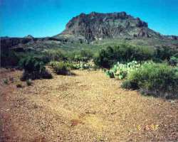 The historical burial site located on the hill is protected under the Archaeological Resources Protection Act of 1979.